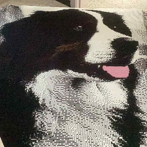Puede incluir: Manta tejida con un diseño de cara de perro en blanco y negro y una lengua rosa. La manta tiene un borde con flecos y está hecha de un material suave y texturizado. La cara del perro es el elemento central del diseño. Aproximadamente 150 cm x 200 cm.
