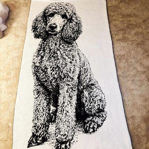 May include: A white rectangular throw blanket with a black and white image of a poodle. The poodle is shown sitting, with its head and body clearly visible. The blanket has a textured appearance, suitable for a sofa or bed.