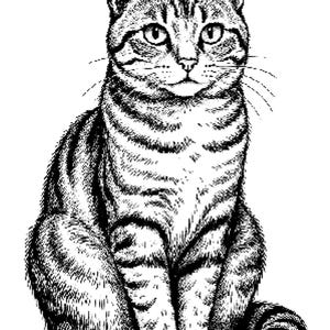 May include: A detailed black and white illustration of a seated tabby cat. The cat has a striped pattern, with a focused gaze and upright ears. The image is a pen and ink style drawing.