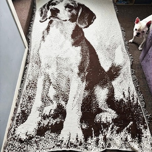 Puede incluir: Una manta rectangular grande con una imagen detallada de un perro en marrón y blanco. El perro está representado sentado. La manta tiene un borde con flecos. Adecuada para un sofá o cama.