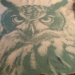 以下が含まれることがあります： 詳細なフクロウのデザインが施された、大きな長方形の毛布。フクロウの顔は緑と白の色合いで表示され、縁はフリンジになっています。毛布は柔らかい織り素材で作られています。