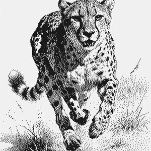 Puede incluir: Una ilustración en blanco y negro hecha con puntos que representa a un guepardo en movimiento. La obra utiliza patrones de puntos densos para crear el pelaje manchado, los rasgos faciales y la forma musculosa del felino al correr.