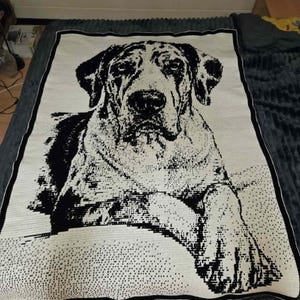 Puede incluir: Una manta rectangular tejida que presenta un retrato gráfico en blanco y negro de alto contraste de un perro grande. El diseño muestra al perro desde el pecho hacia arriba, con sus patas delanteras descansando hacia adelante, bordeado por un marco negro.