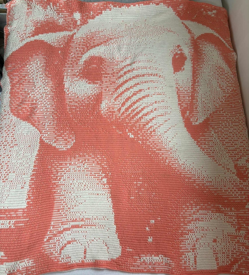 May include: A coral and white crochet blanket featuring a detailed elephant design. The blanket showcases a pixelated image of an elephant's head and trunk. The color palette is a combination of coral and white, creating a striking contrast.