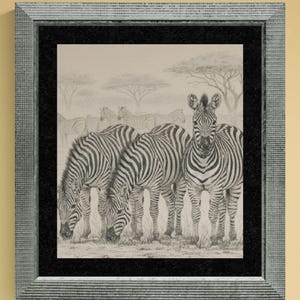 Pode incluir: Um desenho a carvão emoldurado apresentando um rebanho de zebras em uma paisagem de savana. A obra mostra três zebras em primeiro plano, duas pastando e uma voltada para a frente, dentro de uma moldura cinza texturizada e borda preta.