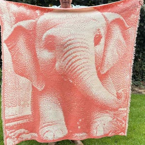 May include: A coral and cream-colored blanket featuring a pixelated elephant design. The blanket is rectangular with a fringed edge. The elephant's head and trunk are prominently displayed, creating a striking visual effect. The blanket is held up by a person.