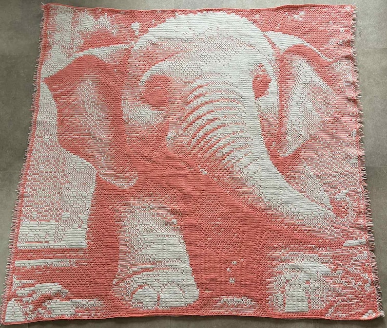 May include: Coral and white crocheted blanket featuring a detailed elephant design. The blanket showcases the elephant's head and trunk, with intricate stitchwork creating a textured appearance. The blanket is square-shaped and has a fringed edge.