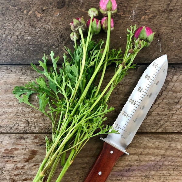 Hori Hori Garden Tool and Knife - Unique Quality Gardening Gift