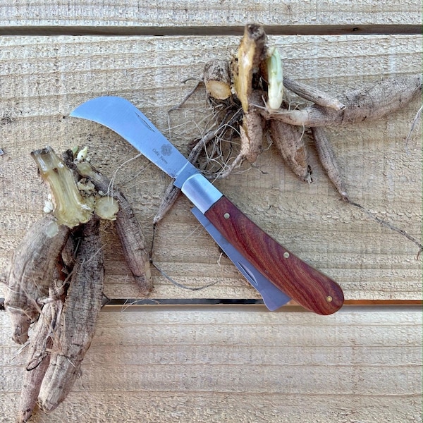 Professional Gardener's Knife - For Pruning, Grafting and Propagation