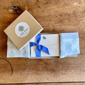 Boxed Hydrangea Flower Stationery - Note Cards and Envelopes (10)