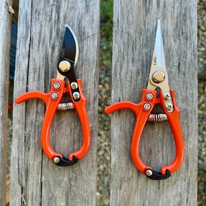 May include: Two orange and black garden shears with the word "Celtic" printed on the blade. The shears are made of metal and have a spring mechanism. They are resting on a weathered wooden surface.
