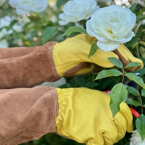 May include: Yellow and brown leather gardening gloves with long sleeves, protecting the arms. The gloves are shown in a garden setting with white roses and green foliage. The gloves are designed for gardening and yard work.