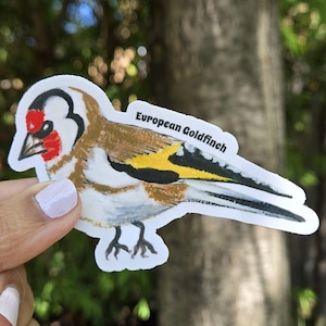 Sticker oiseau, Sticker amoureux des oiseaux, Sticker chardonneret, Sticker vinyle, Sticker pour ordinateur portable Journal bouteille téléphone, Code article - COTC ST09