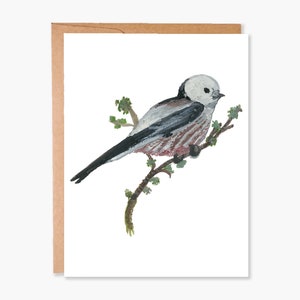 Cartes d’oiseaux, cartes vierges, cartes de notes d’oiseaux, paquet de cartes nature, carte de sympathie, cartes de notes boisées, carte de félicitations, code article - COTC BL20