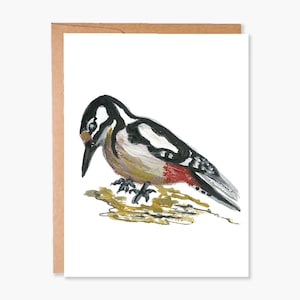 Cartes d’oiseaux, cartes vierges, cartes de notes d’oiseaux, oiseaux d’Amérique du Nord, carte aquarelle, carte de sympathie, cartes de notes boisées, code article - COTC BL18