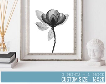 Free Free X Ray Flower Svg 577 SVG PNG EPS DXF File
