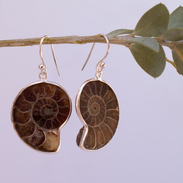 Ammonite fossil Earrings ~ Sterling Silver 925 ~ Dangle ~ Jewelry ~ Natural ~ ME040