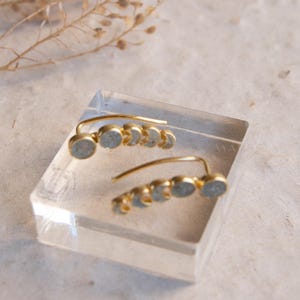 May include: A pair of gold-colored ear climbers with five light blue-gray stones each. The earrings are displayed on a clear acrylic block, with a dried plant stem in the background. The earrings have a curved design.