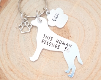 Labrador keyring, this human belongs to, gift for labrador owners, hand stamped labrador keyring, dog breed keyring, labrador keychain