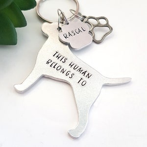 Border Terrier  Keychain, This Human belongs to, ThisTerrier belongs to, hand stamped border terrier keyring, dog keyring, terrier gift