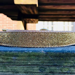 Gold Glitter Dog Collar