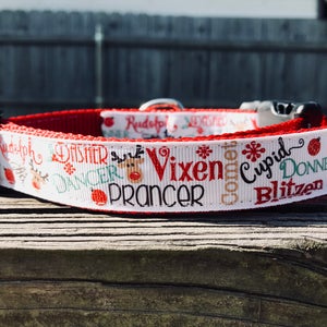 Medium Rudolph Reindeer Names Dog Collar
