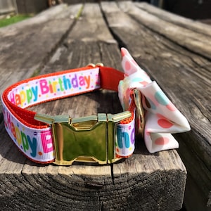 Orange, Birthday, Polkadot Bow/ Bow tie Dog Collar
