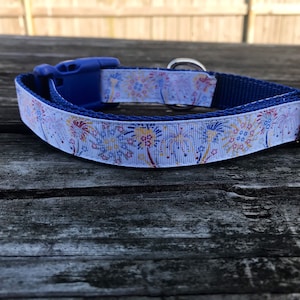 Fireworks Dog Collar