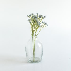 May include: A clear glass vase with a textured surface holds a bouquet of light blue flowers with green stems.