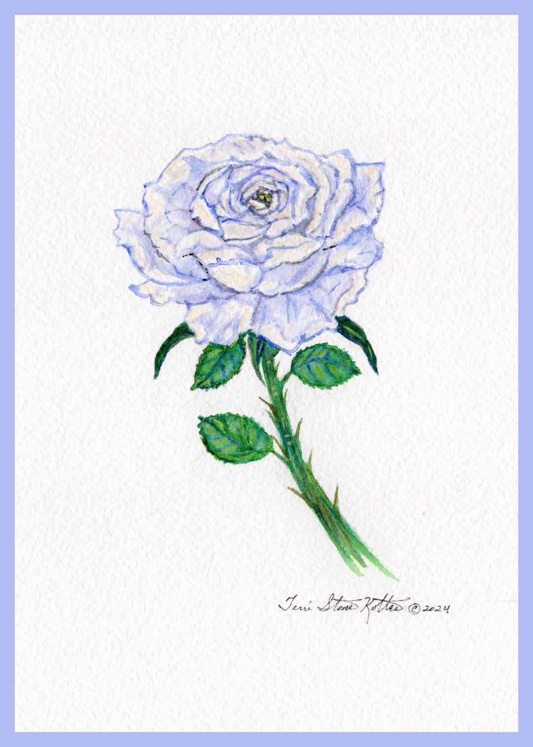 White Rose Greeting Cards (box of 5ea-size 5