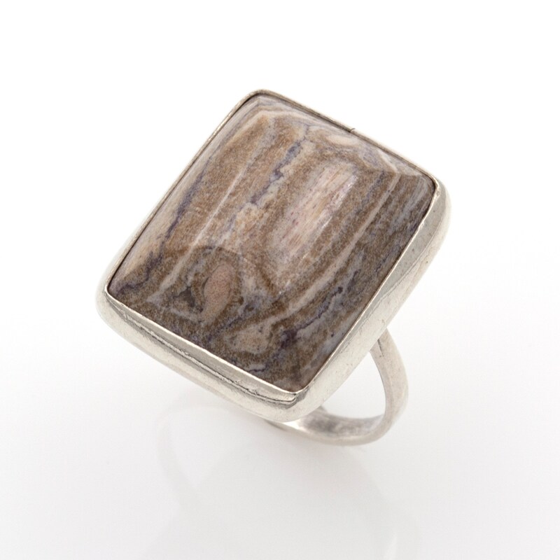 Petrified Wood Ring - Etsy