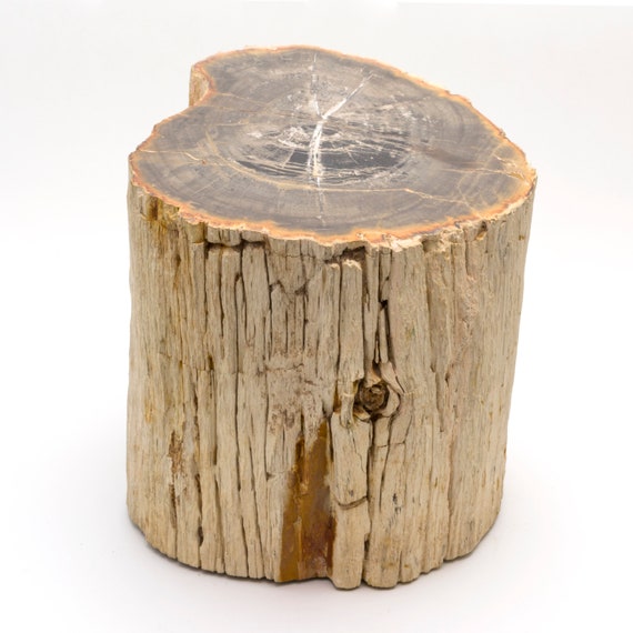 Tronco di legno pietrificato del Permiano di 14,4 kg. Origine: Paraguay. 19  x 19 x 20 cm. -  Italia