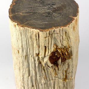 33 kg Permian petrified wood log. - Origin: Paraguay. - 24 x 21 x 29 cm.