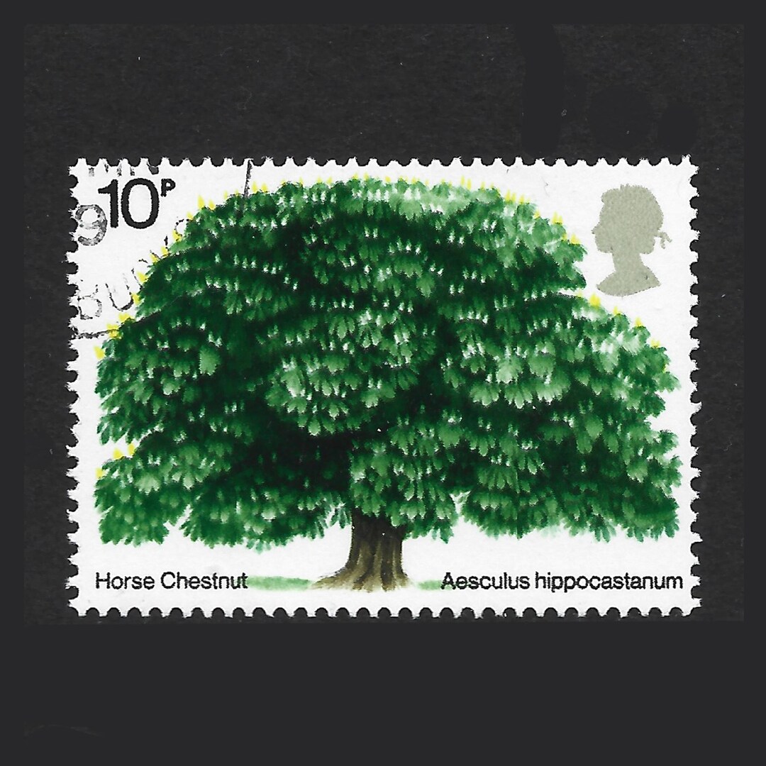 英国切手 1974年発行の記念切手（セイヨウトチノキ）です。英国切手コレクション