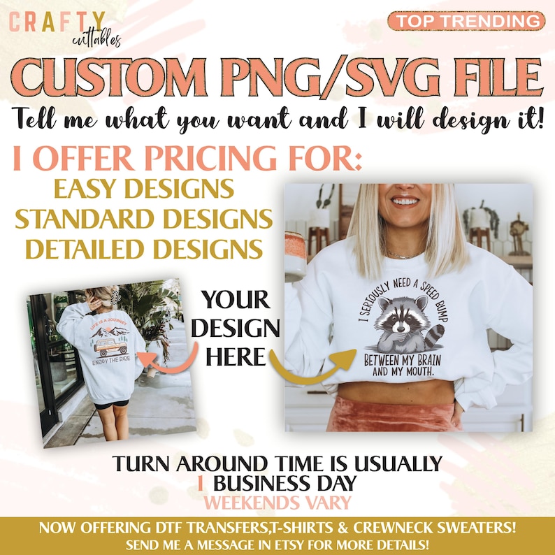 May include: A white sweatshirt with a raccoon graphic and the text "I seriously need a speed bump between my brain and my mouth." The sweatshirt is on a pink background with the text "Custom PNG/SVG File" and "I offer pricing for: Easy designs, Standard designs, Detailed designs".