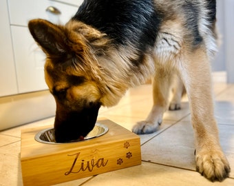 Personalised pet bowl / dog cat dish large engraved