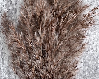 Dried Natural Pampas Grass Small Stems x4