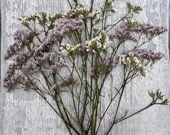 May include: A bouquet of dried statice flowers featuring a mix of delicate white and soft lavender-colored blossoms on thin, green, branching stems. The arrangement displays multiple clusters of small, papery petals spread across the stems.