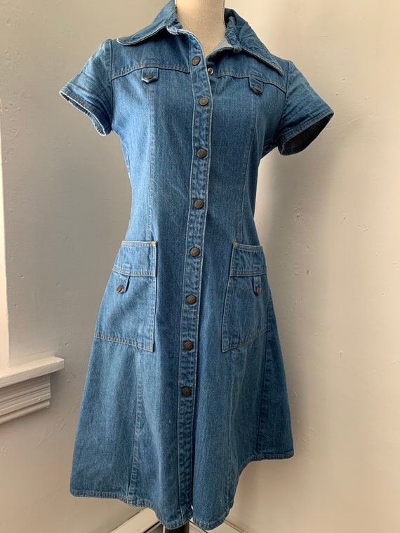 landlubber denim dress