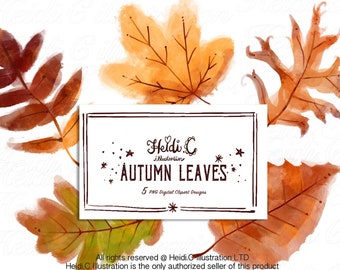 fall leaves clipart, fall leaves png, fall leaves clip art, fall leaf png, autumn leaves png, fall leaf printable autumn leaf png watercolor