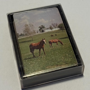 Vintage Congress Horses Pasture  Single Deck Playing Cards Complete With Jokers
