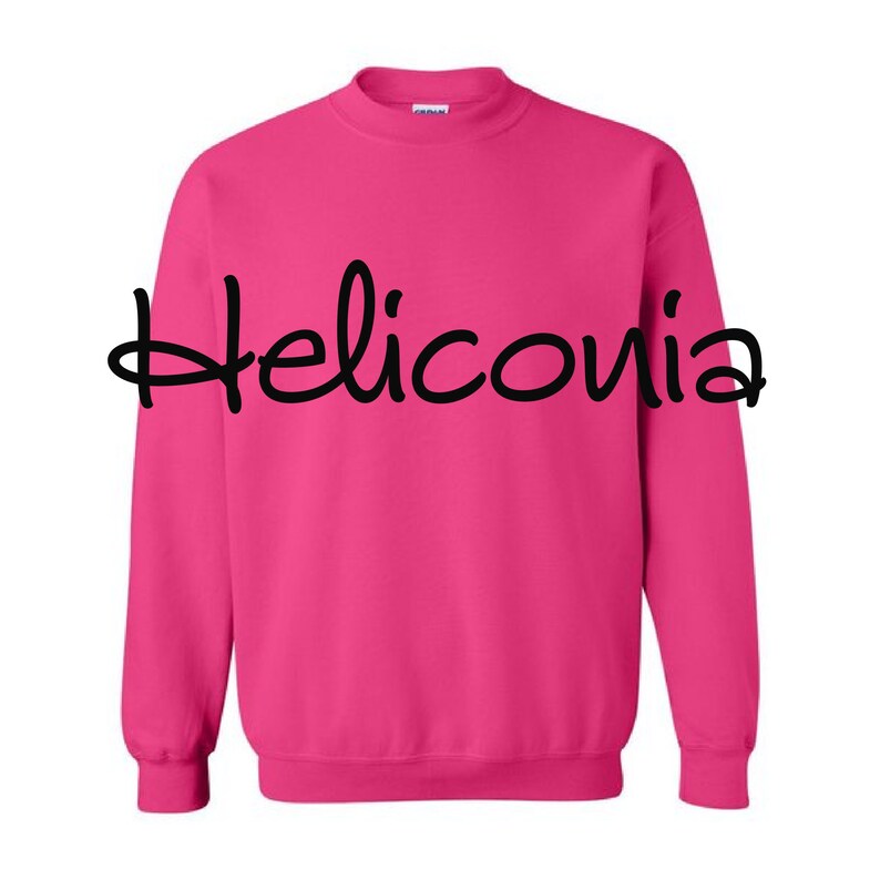 May include: A pink sweatshirt with the word "Heliconia" written in black cursive on the front.