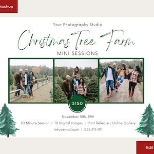 Christmas Tree Farm Mini Session Template, Edit in Canva or Photoshop, Christmas Mini Session Flyer, Photography Mini Session, Holiday Minis