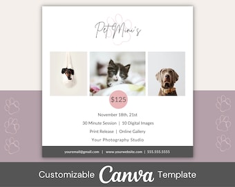 May include: A white flyer with a pink paw print logo that says "Pet Mini's". The flyer advertises a pet photography session for $125 on November 18th and 21st. The flyer includes three images of pets: a dachshund, a kitten, and a greyhound. The flyer also includes the text "30 Minute Session | 10 Digital Images | Print Release | Online Gallery | Your Photography Studio".