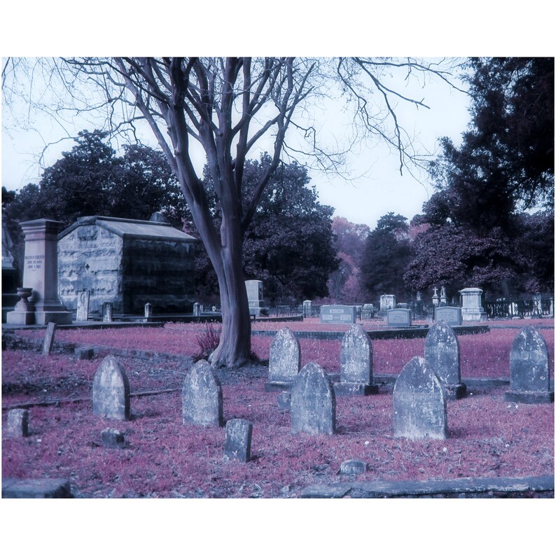 Gravestone Farm Print Halloween Decor Cemetery Photography image 1