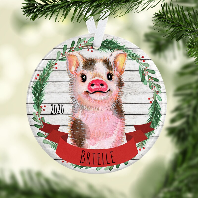 Hyturtle Personalized Christmas Ornament Gifts for Pig Lover - Just A Girl Who Loves