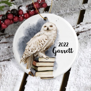 Owl Ornament/Owl Gift/Christmas Ornaments/Personalized Gifts/White Owl Ornaments/Owl Decor/Christmas Tree Decorations/Custom Name Ornament