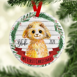 Baby Ziege Ornament/Babys Erste Weihnachten Ornament/Ziegen Geschenk/Baby Shower Geschenk/personalisierter Ornament/Bauernhof Weihnachten Dekor/Billy Ziegen Geschenk