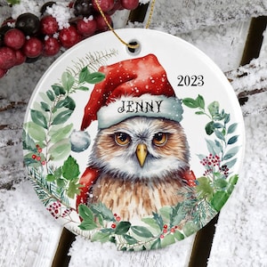 Owl Ornament/Personalized Ornament/Owl Gift/Christmas Owl Tree Ornament/Owl Decor/Christmas Ornaments/Christmas Gifts for Her/Bird Ornaments