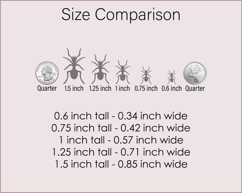 Ant Stickers, Birthday Card Stickers, Insect Stickers, Bugs, Gag Gifts, Removable Vinyl, Envelope Sealing Stickers, Planner Stickers image 2
